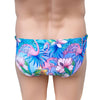 Reef Brief - Flamingo Frenzy