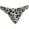 Silver White Leopard